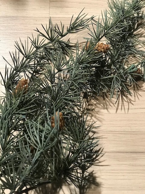 novoletna dekoracija - borova plezalka s storžki